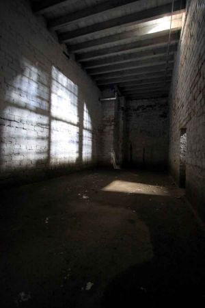 The service tunnels below the hospital. There was a rumor these tunnels were used to transport patients around the hospital.  